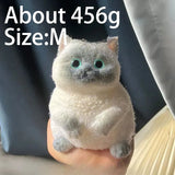 Siamese cat, 456 g