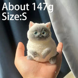 Siamese cat, 147 g