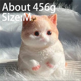 Crown cat, 456 g
